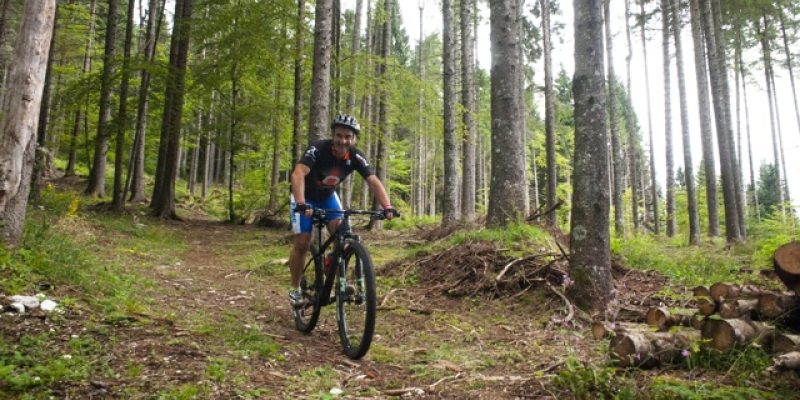 Mountain bike