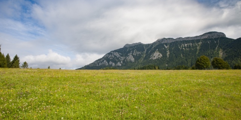 Sala, Le Ei, Passo Croce di Costion, Val Maor