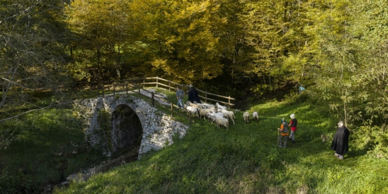 Il Ponte Romano