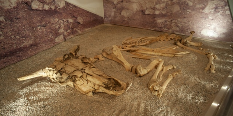 Scavi archeologici