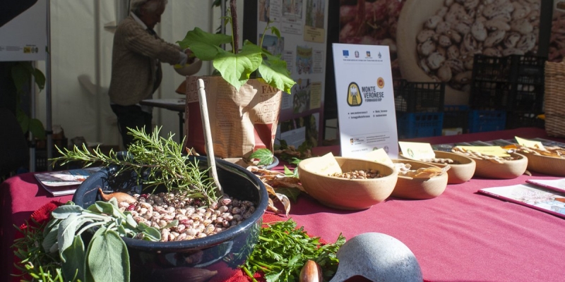 Enogastronomia