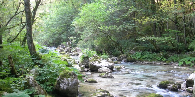 Pesca e funghi