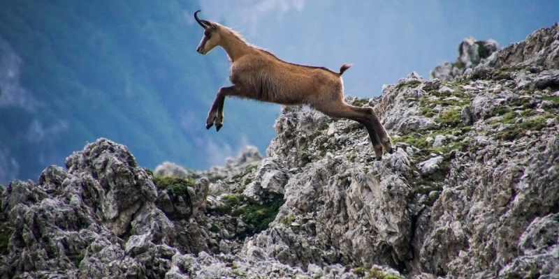 Il Primiero