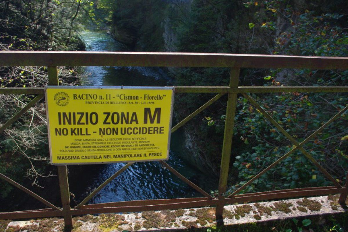 lamon-fishing and mushrooms